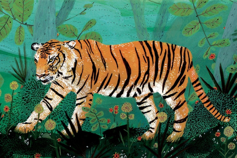 bengal tiger image 1