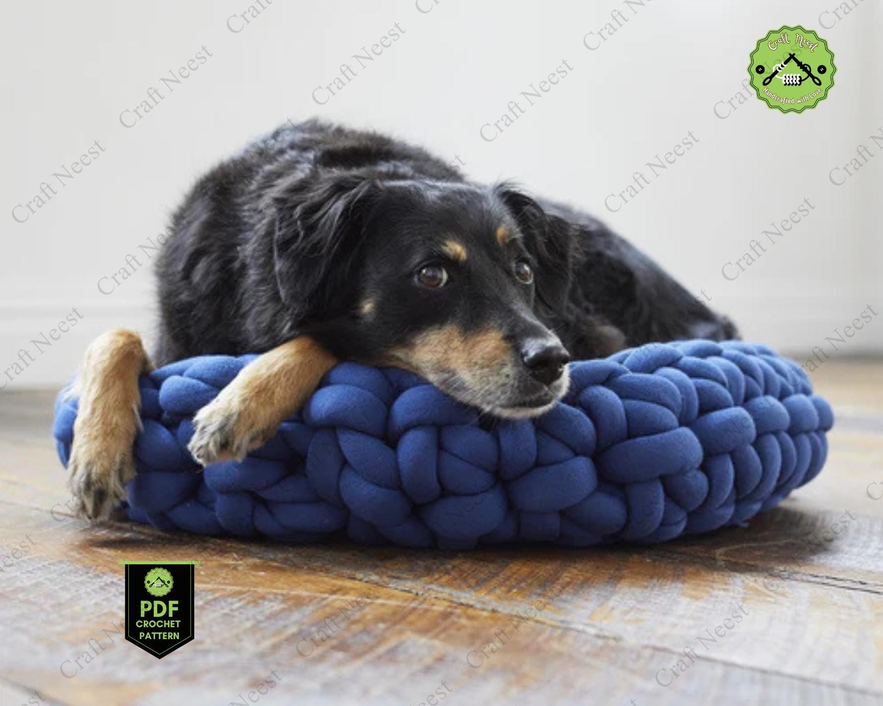 Cad Cam Perro Se Mea En Su Cama Es Bueno Dormir Con Perros Dormir