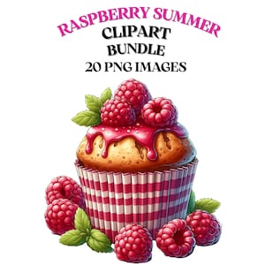 Bundle de cliparts été framboise, graphiques de 20 fruits, mignons cliparts colorés, fruits roses PNG, Clipart Framboisier, gâteau aux fruits, usage Commercial