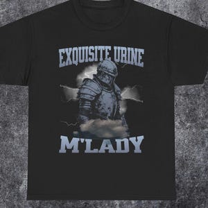 May include: Black t-shirt with a graphic design featuring a medieval knight in armor, clouds, and lightning. The text "EXQUISITE URINE" and "M'LADY" are printed above and below the knight illustration.