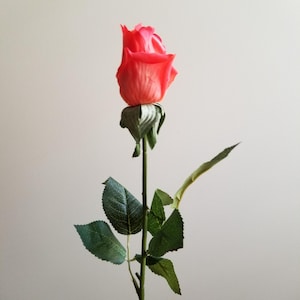 May include: A single, vibrant red rose with a closed bud. The rose has a green stem and leaves. The petals are a gradient of red, with a lighter shade towards the edges. The leaves are a deep green.