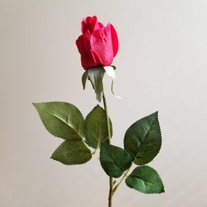May include: A single, vibrant red rose bud with green leaves and stem. The rose is in full bloom, showcasing its layered petals. The leaves have detailed veining, and the stem is a natural brown color. The rose is a classic floral decoration.