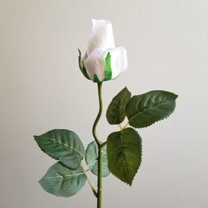 May include: A single white rose bud with green accents and leaves. The stem is a light green color and has a slight curve. The leaves are a dark green color and have detailed veining.