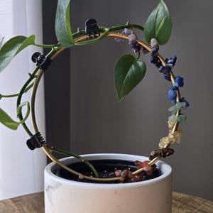 Puede incluir: Una planta en maceta con hojas verdes que crecen alrededor de un anillo de metal dorado decorado con piedras preciosas de colores. La planta está en una maceta de cerámica blanca con un patrón de mármol.