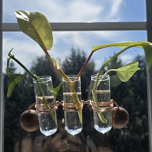 Window Hanging Copper Plant Propagation Stand - 3 glass vial