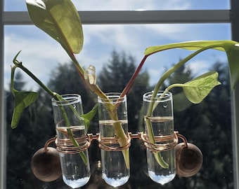 Soporte de propagación de plantas de cobre para colgar en la ventana - 3 viales de vidrio