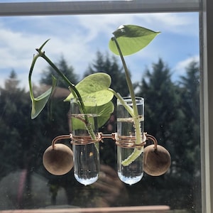 May include: A copper-colored metal and glass propagation station with two clear glass tubes holding plant cuttings. The tubes are connected by copper wire and have wooden spheres on each side. The background shows a window with a view of trees and a blue sky.