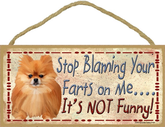 Pomeranian shop near me cheap