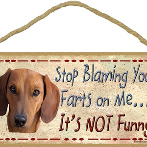 DACHSHUND Doxie Stop Blaming Your FARTS On Me It's Not Funny 5" x 10" Dog Pet SIGN Wall Plaque