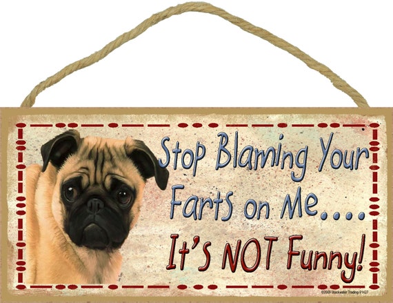 Pug shop near me cheap