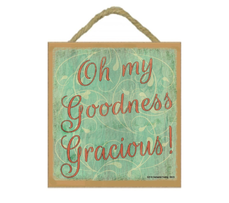 Oh My Goodness Gracious Southern Style Sign Plaque Etsy