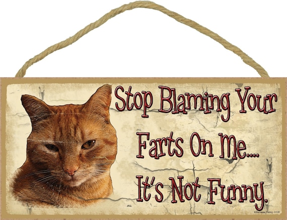 Tabby Fart