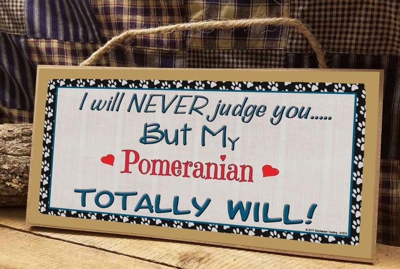 I Will Never Judge You But My Pomeranian Totally Will Dog Sign Plaque 5X10 image 1