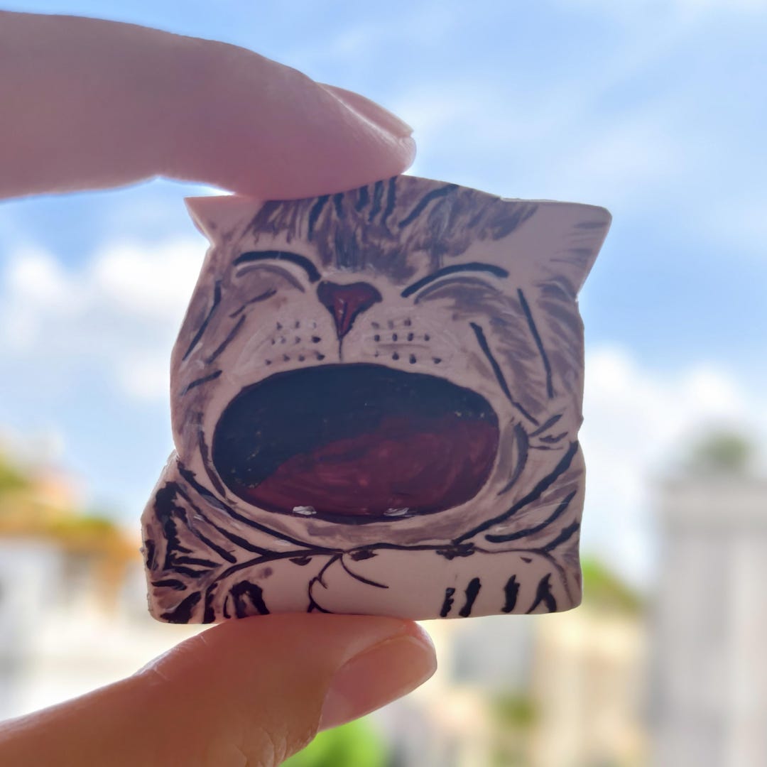 2 Pics Custom Cat Refrigerator Magnet Cat Fridge Magnet Lightweight Pet ...
