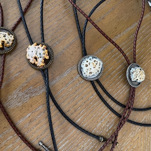 Op de afbeelding: Vier bolo-dassen met gevlochten leren koorden in zwart en bruin. Elke das heeft een ronde metalen schuif met een gestructureerd, poreus, gebroken wit organisch middelpunt. De koorden zijn afgewerkt met zilverkleurige metalen uiteinden.