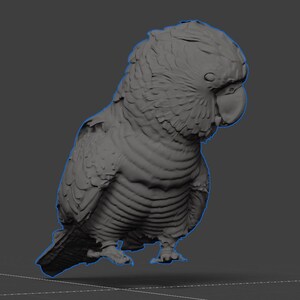 May include: A detailed, gray 3D-rendered model of a parrot. The bird is depicted in a side profile, showcasing textured feathers, a curved beak, and detailed feet. The parrot is set against a neutral gray background.