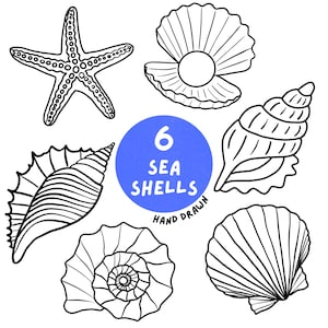 Snäckskal Clipart-paket | 6 handritade illustrationer | PNG- och SVG-digital nedladdning