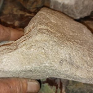 May include: A close-up of a rough, gray, irregularly shaped rock. The rock is being held in a hand.