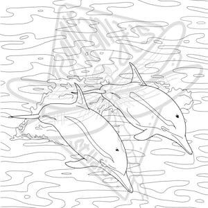 Dolphin coloring page - download