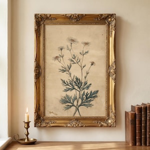 May include: A framed botanical print featuring a detailed illustration of a flowering plant with white blossoms and green leaves. The print is set within an ornate, gold-colored frame. A lit candle in a brass holder sits on a wooden surface.