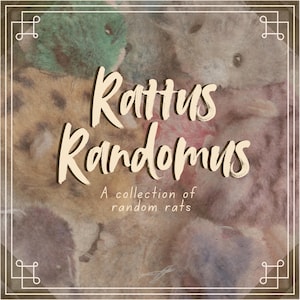 May include: A group of plush rat toys in various colors including green, brown, and pink, overlaid with the text Rattus Randomus and A collection of random rats. The image is framed by a thin white border with decorative corner accents.
