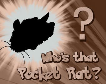 Who's That Pocket Rat? - Mystery Rat Bean Bag Plush | Random Pocket Plush Companion | Handmade Bean Rat Plushie