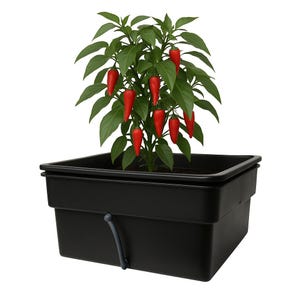 Comprehensive hydroponic kit containing all the essentials to launch your indoor or outdoor gardening journey.