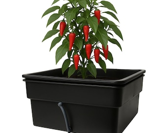 Comprehensive hydroponic kit containing all the essentials to launch your indoor or outdoor gardening journey.