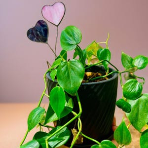 Glass Heart Plant Stake Suncatcher: Garden Decor Gift
