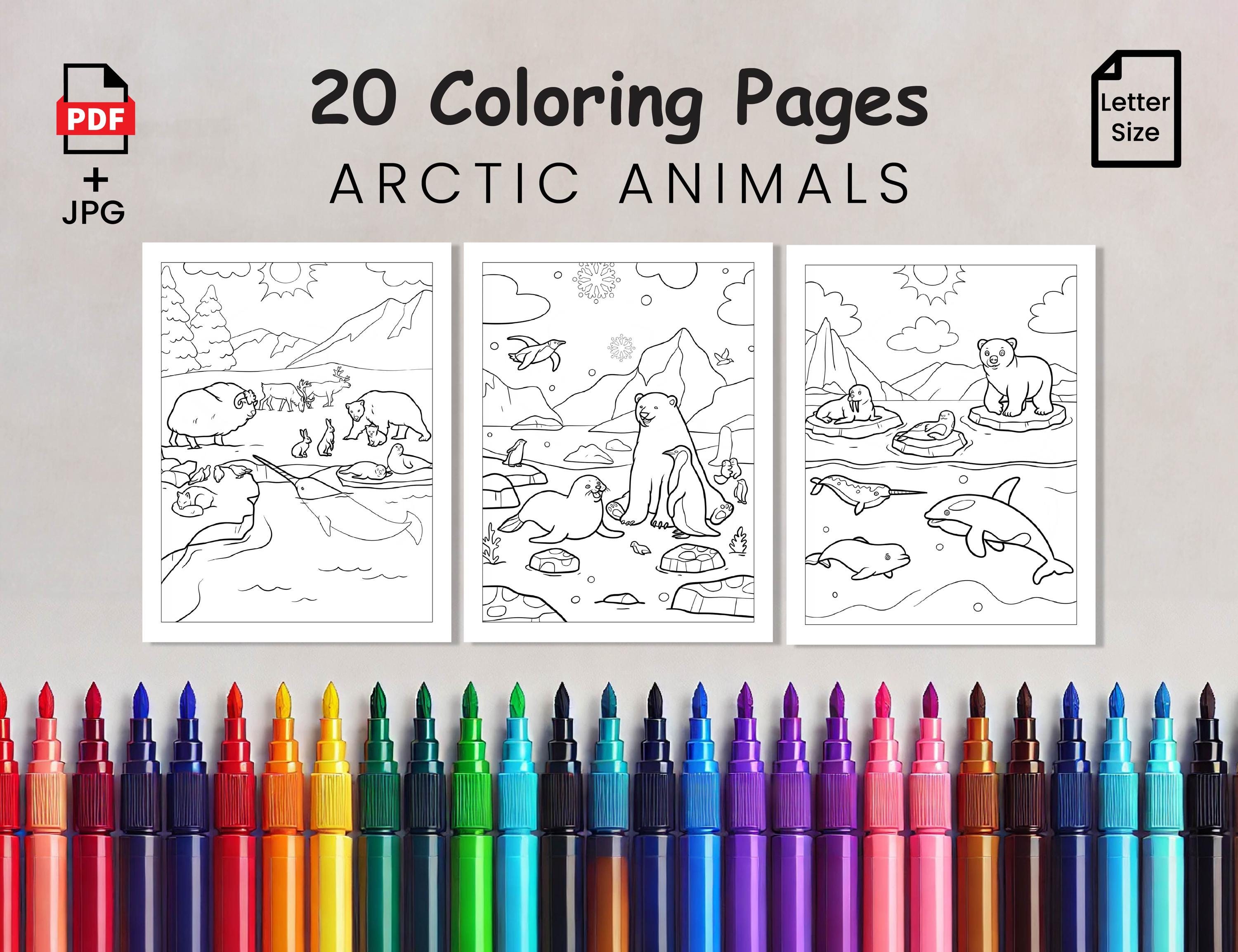 Arctic Animals Coloring Pages for Kids Printable Winter Animal Sheets ...