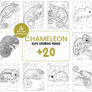 20 Chameleon Coloring Pages for Kids – Cute Lizard Printable Coloring Book, Fun Reptile Activity Sheets, Instant Download #117