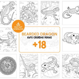 Bearded Dragon Coloring Pages for Kids – 18 Printable Lizard Sheets, Reptile Coloring Book PDF JPG, Instant Download Activity #110