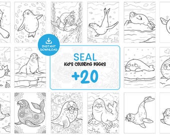 Seal Coloring Pages for Kids – 20 Cute Printable Ocean Animal Sheets, Sea Life Coloring Book PDF JPG, Instant Download #114