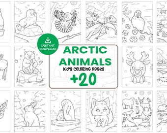 Arctic Animals Coloring Pages for Kids Printable Winter Animal Sheets Cute Polar Wildlife Art Instant Download PDF JPG Coloring Book Set#135