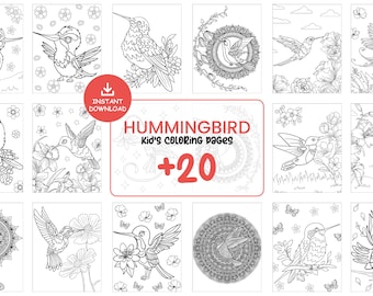 Dibujos para colorear de colibríes para niños, hermosos pájaros imprimibles con flores, hojas de actividades de arte consciente, descarga de libro para colorear digital #087