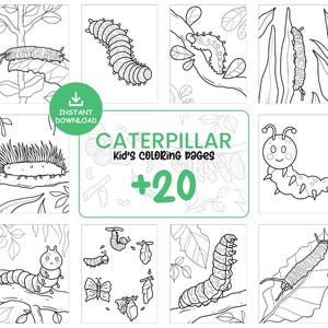 Caterpillar Coloring Book Printable for Kids – Preschool Busy Book Pages with Cute Insects, Educational Toddler Activities Gift #069