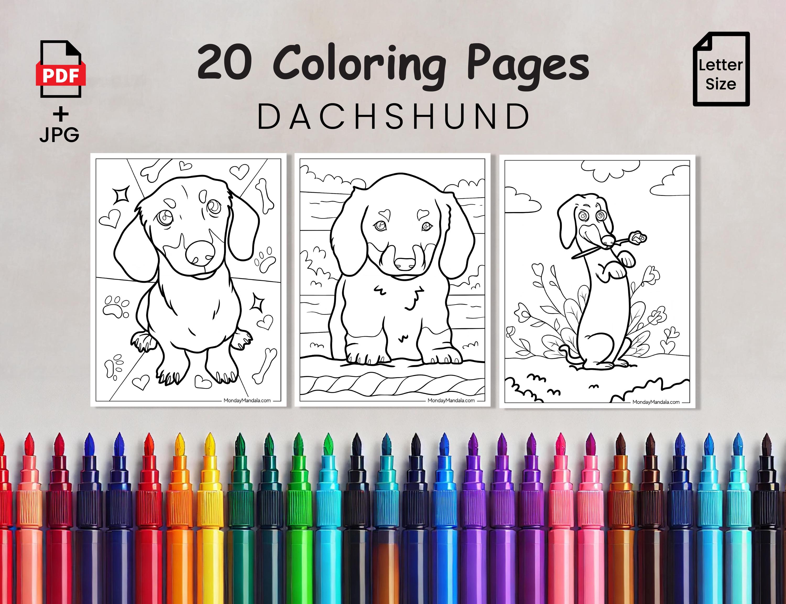 Dachshund Coloring Pages for Kids Printable Puppy Activity Sheets Cute ...