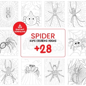 Spinnen Malseiten für Kinder - Lustige Halloween-Spinne zum Ausdrucken, einfache lernfähige Arbeitsblätter, süßes gruseliges Käfer-Malbuch PDF #080