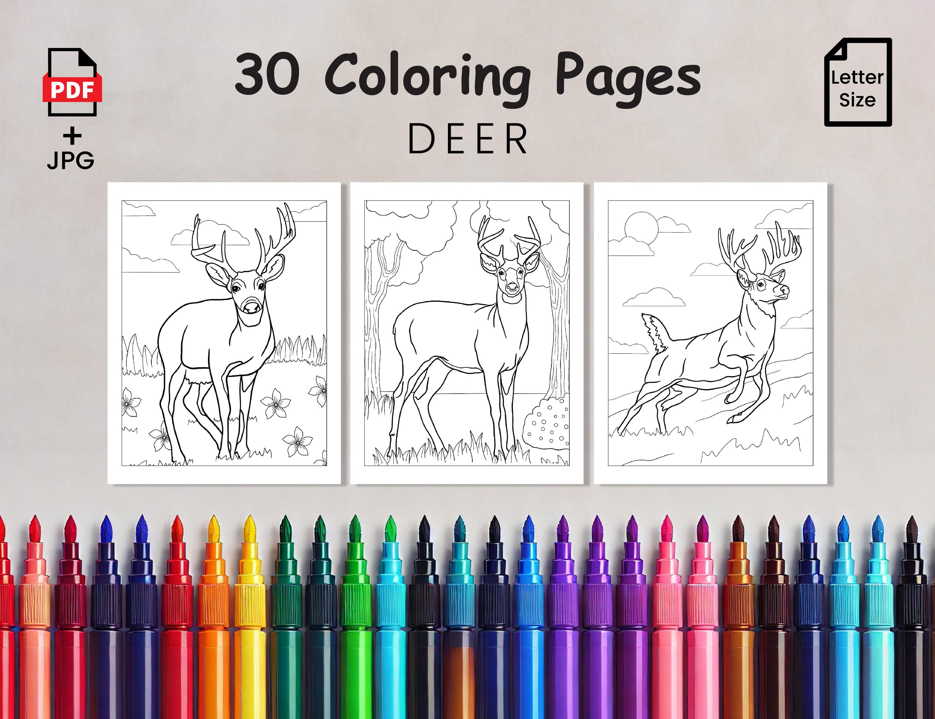 30 Deer Coloring Pages for Kids Printable, Cute Baby Deer and Fawn ...