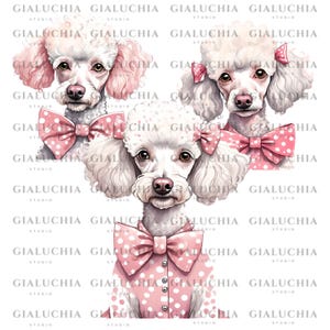 Niedliches Aquarell Französischer Pudel Png, Süßer Hund Mit Polka Fliege Clipart, Französische Pudel Illustration, Baby Hund Png, Hundedatei für Sublimation
