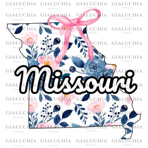 Watercolor Floral State Map of Missouri png, Coquette Aesthetic Bow png, Cute Feminine State Outline Clipart, Trendy Girly State Design
