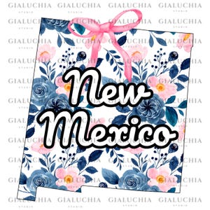 Watercolor Floral State Map of New Mexico png, Coquette Aesthetic Bow png, Cute Feminine State Outline Clipart, Trendy Girly State Design