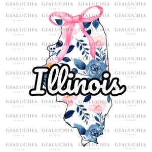 Aquarel bloemen staat kaart van Illinois png, Coquette Aesthetic Bow png, schattige vrouwelijke staat overzicht clipart, trendy girly staat ontwerp