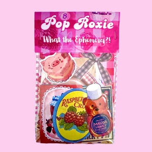 Puede incluir: Una bolsa transparente llena de efímeras, con una pegatina de cerdo rosa, una pegatina de oso de miel y una pegatina de frambuesa. La bolsa está rematada con un estampado de cuadros rosas y blancos y el texto "Pop Roxie What the Ephemera?!"