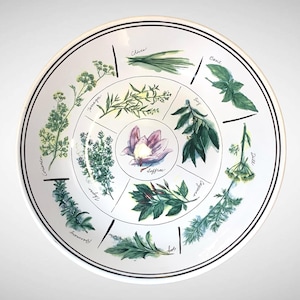 May include: White ceramic serving plate with a black rim and a botanical illustration. The plate features a central floral design surrounded by watercolor illustrations of herbs, including basil, thyme, and rosemary. The herbs are labeled with their names.