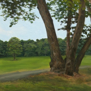 May include: Oil painting of a park scene with a large tree in the foreground. The tree has a thick, brown trunk and green leaves. A grassy field and a path lead to a treeline under a blue sky.