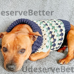 Puede incluir: Un perro marrón con un suéter de ganchillo azul marino y granny square. El suéter tiene un cuello azul marino y un patrón de cuadrados crema, verdes y azul marino. El texto "UdeserveBetter" es visible.