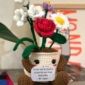 Amigurumi Flower Pot Crochet Pattern PDF, Colorful Crochet Plant, Digital Download