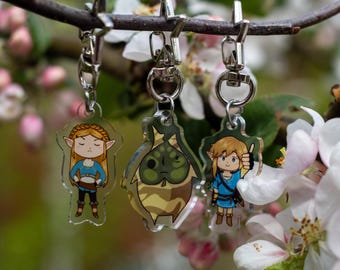 The legend of Zelda Breath of the wild charms