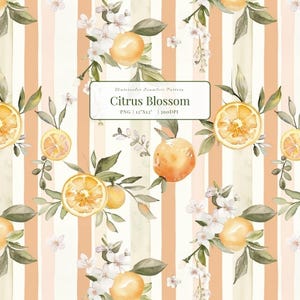 Könnte beinhalten: Nahtloses Aquarellmuster mit Orangen, Orangenscheiben, weißen Blüten und grünen Blättern. Das Design hat vertikale Streifen in Pfirsich- und Cremefarben. Der Text "Citrus Blossom" wird auf einem weißen Rechteck angezeigt.